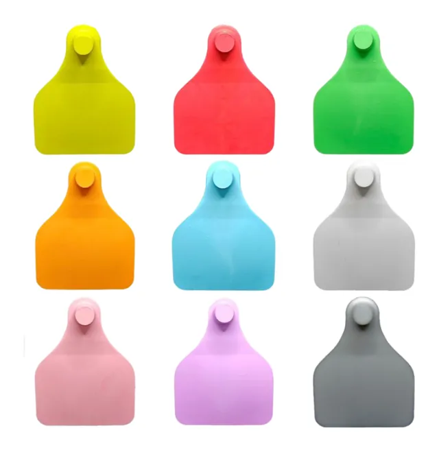 Brincos de manejo em nove cores